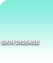 Skin-Disease