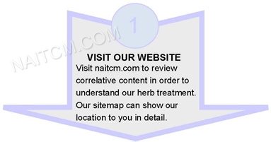 treatment plan 1